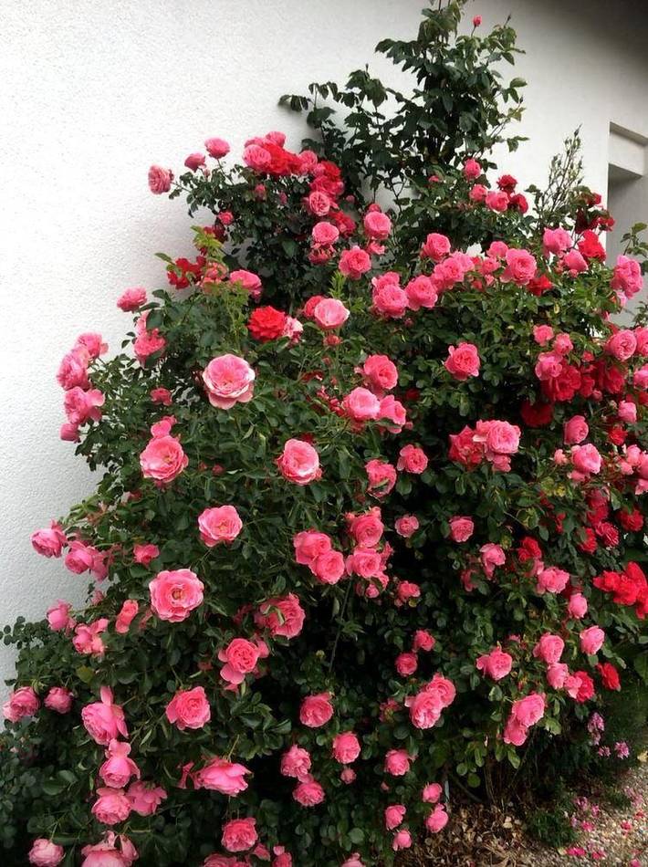 Ferienwohnung für 4 Personen, mit Terrasse in Fürth - 2