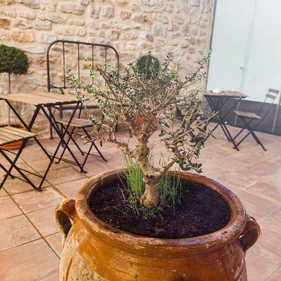 Apartamento entero, Apartamentos Turísticos El Aove in Baeza, Provincia de Jaén