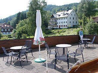 Pension-Restaurant Waldblick - Ferienwohnung "Zur Mirabelle", 35qm, 1 Schlafzimmer, max. 2 Personen in Falkau (Feldberg), Feldberg