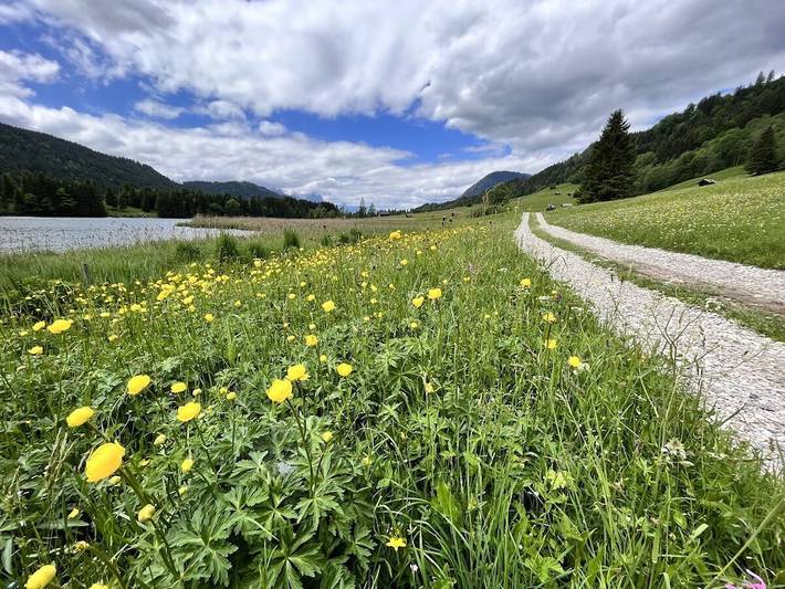 Ferienhaus Anna in Eschenlohe, Bayerische Alpen