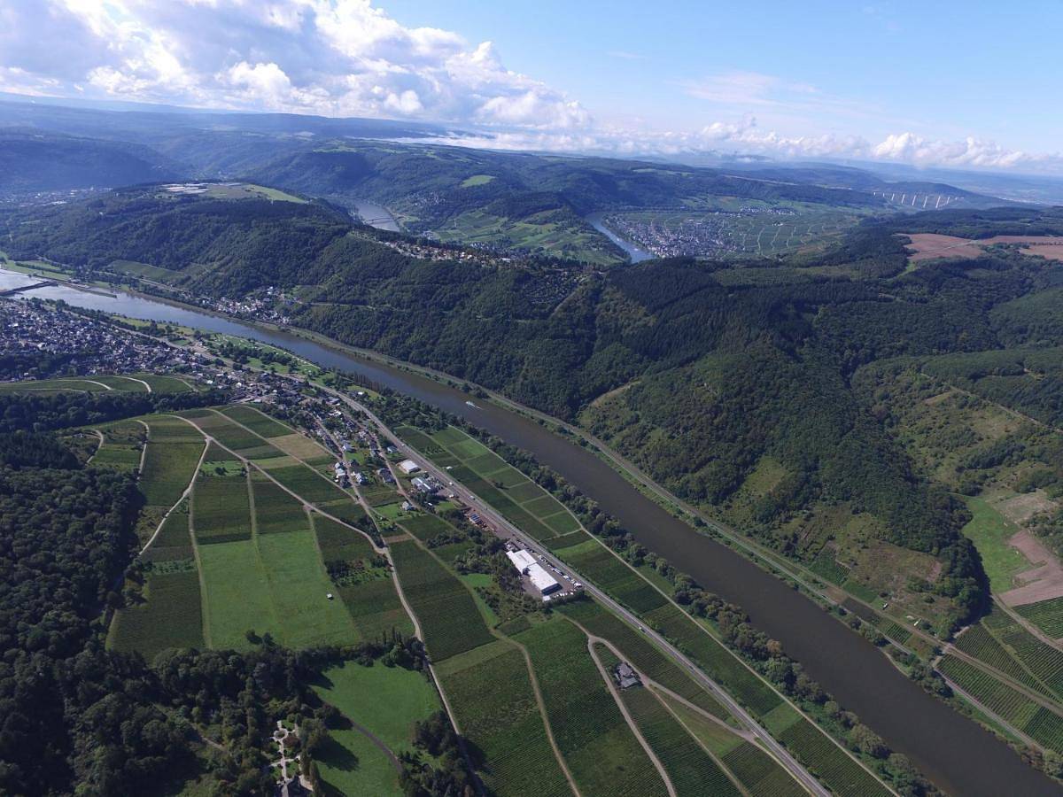 Ganze Wohnung, Weingut Burggarten in Burg (Mosel), Bernkastel-Kues & Umgebung