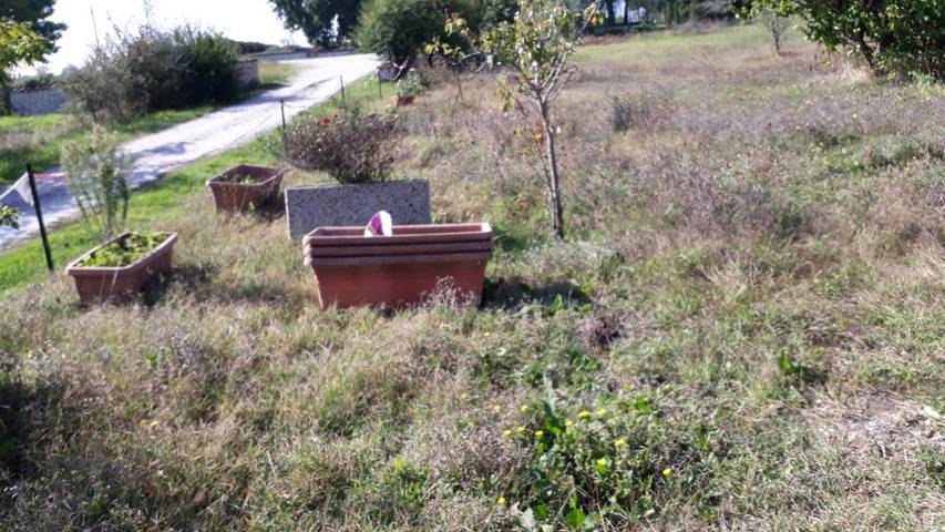 Gîte pour 3 personnes, avec terrasse et jardin à Pietrelcina - 4