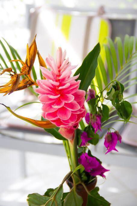 Gîte pour 2 personnes dans Plage de Saint-Félix - 3