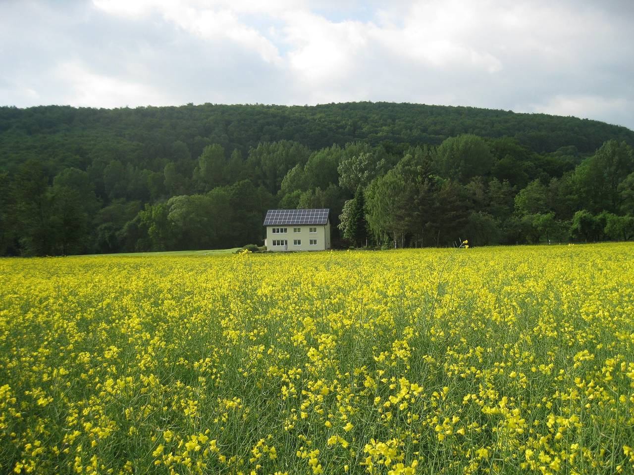 Ganze Wohnung, Ferienwohnung im Dachgeschoss, Homberg in Homberg, Knüllgebirge