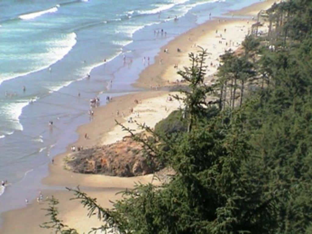 The Blue Rose Cottage - herrliche Aussicht - direkter Zugang zum Strand in Netarts, Tillamook County