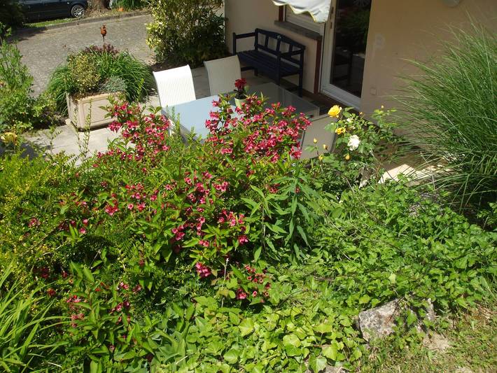 Ganze Ferienwohnung, Ferienwohnung Lehmann - Lehmann, 68 qm, 1-3 Personen in Ihringen am Kaiserstuhl, Kaiserstuhl