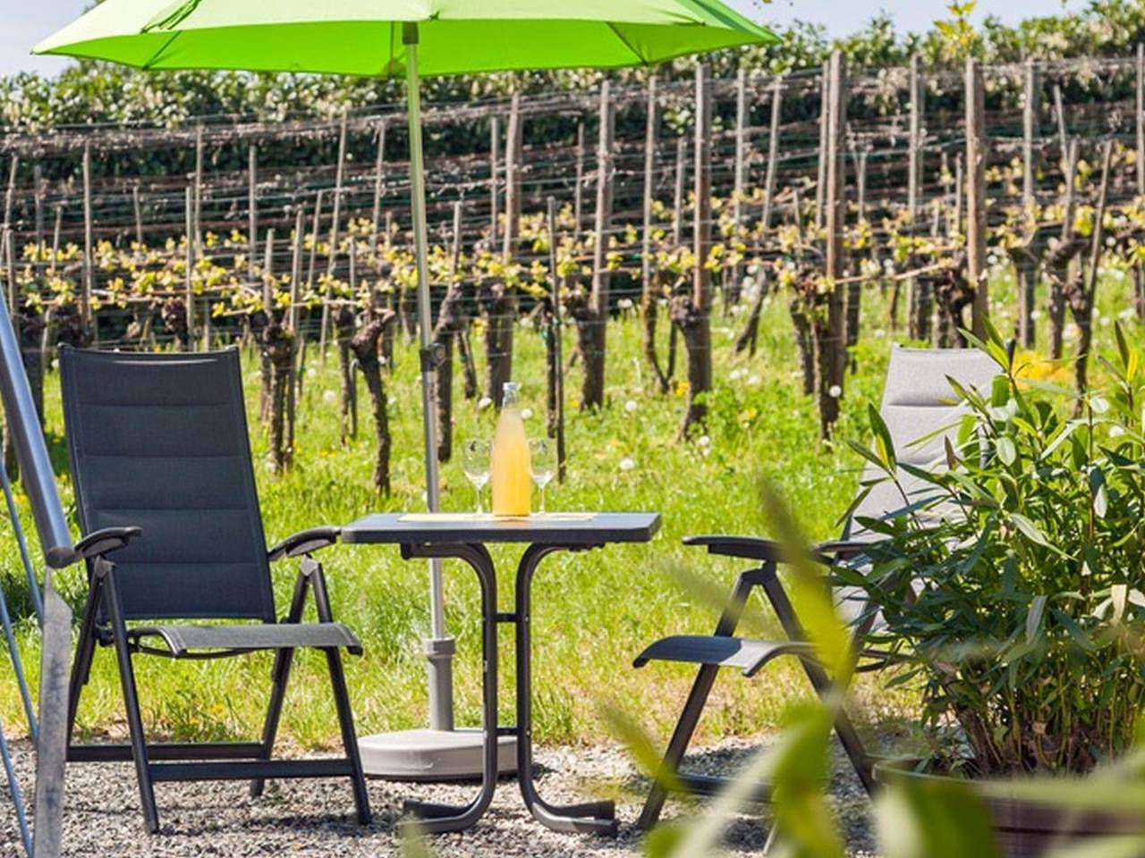 Ganze Wohnung, Ferienwohnung '303' mit Gemeinschaftsgarten, Wi-Fi und Klimaanlage in Hagnau am Bodensee, Region Bodensee-Oberschwaben