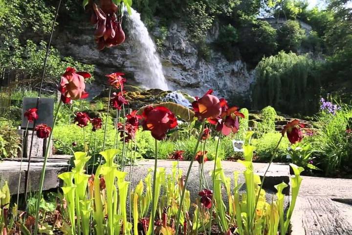 Gîte pour 4 personnes, avec balcon, animaux acceptés à Saint-Nazaire-en-Royans - 4