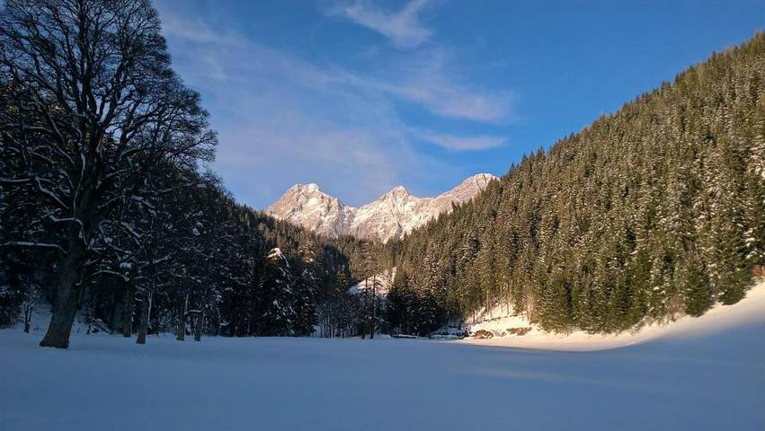 Ferienhaus für 10 Personen, mit Garten und Sauna sowie Ausblick in Ramsau am Dachstein - 2
