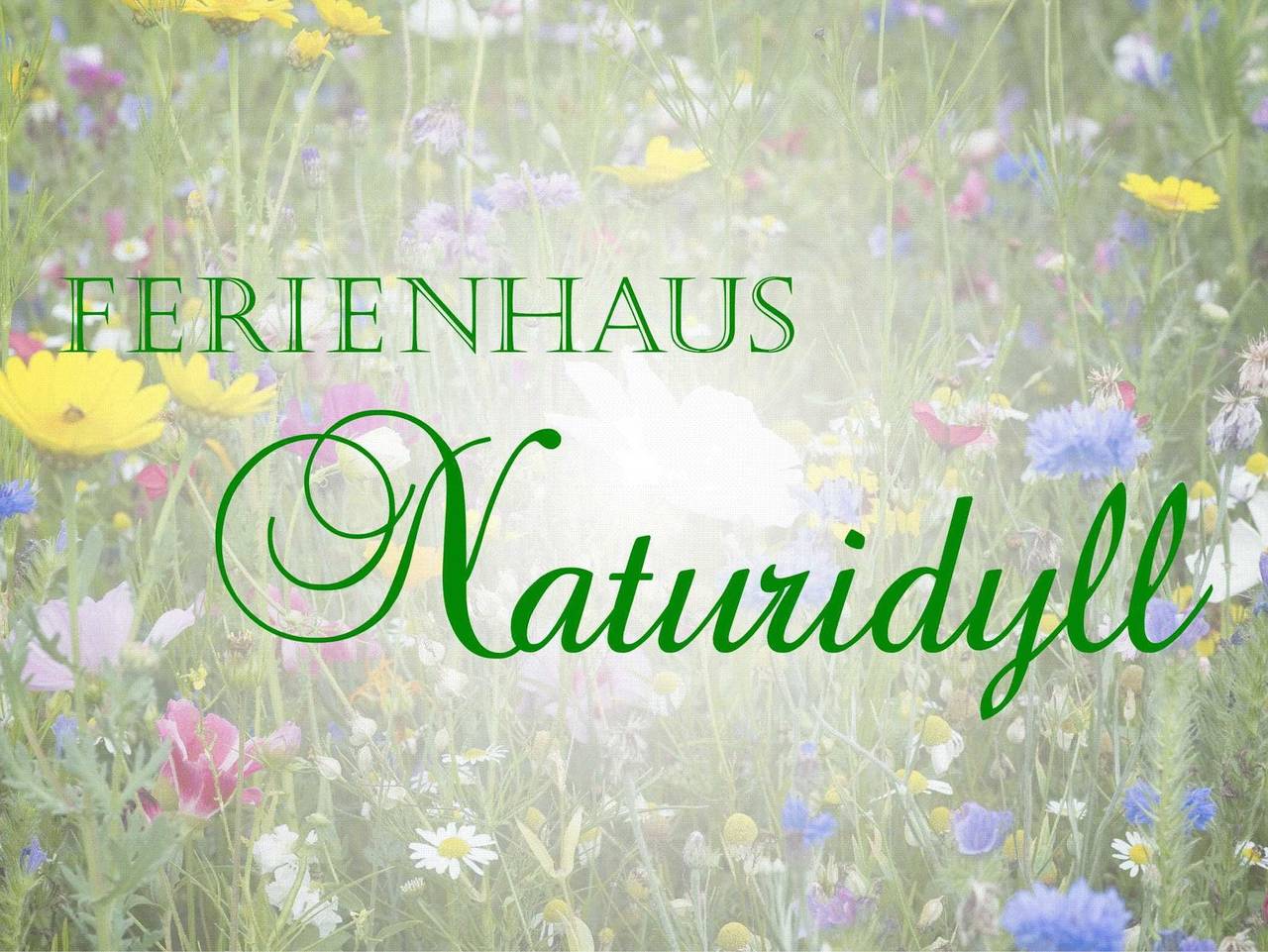 Ganze Ferienwohnung, ***Ferienhaus Naturidyll mit großem Garten*** in Sundhagen, Stralsund Umland