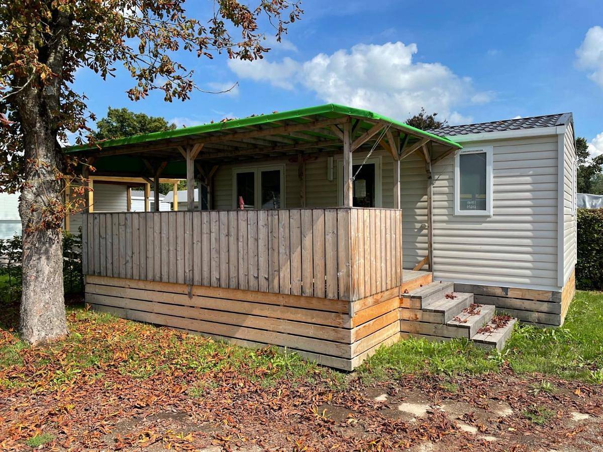 Ganze Wohnung, Chalet Wallersee in Seekirchen am Wallersee, Bezirk Salzburg-Umgebung