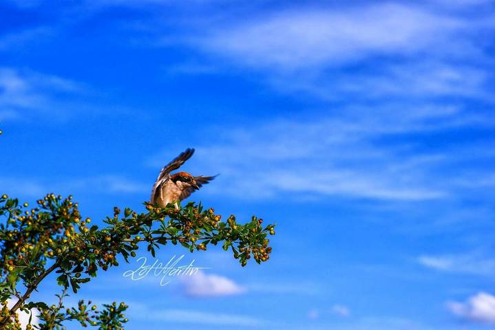 Casa rural para 2 personas, con vistas en Las Hurdes - 3