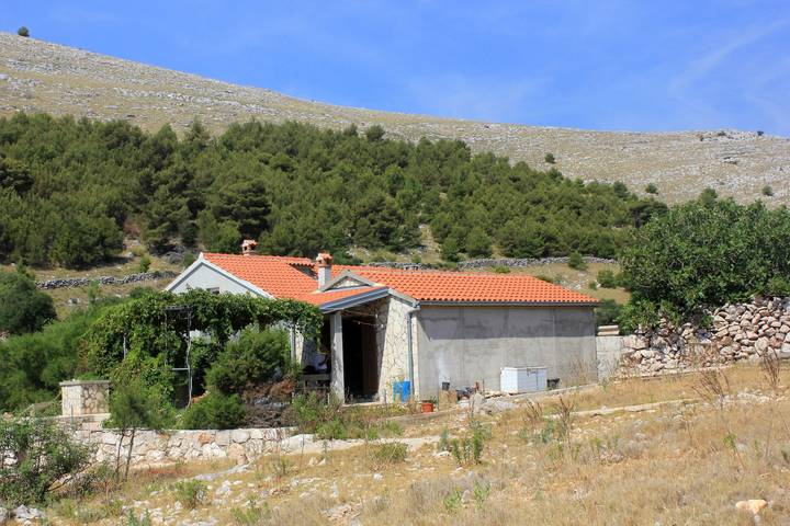 1-Zimmer-Haus am Strand Bucht Statival, Kornati K-8164 in Kornaten, Općina Murter-Kornati