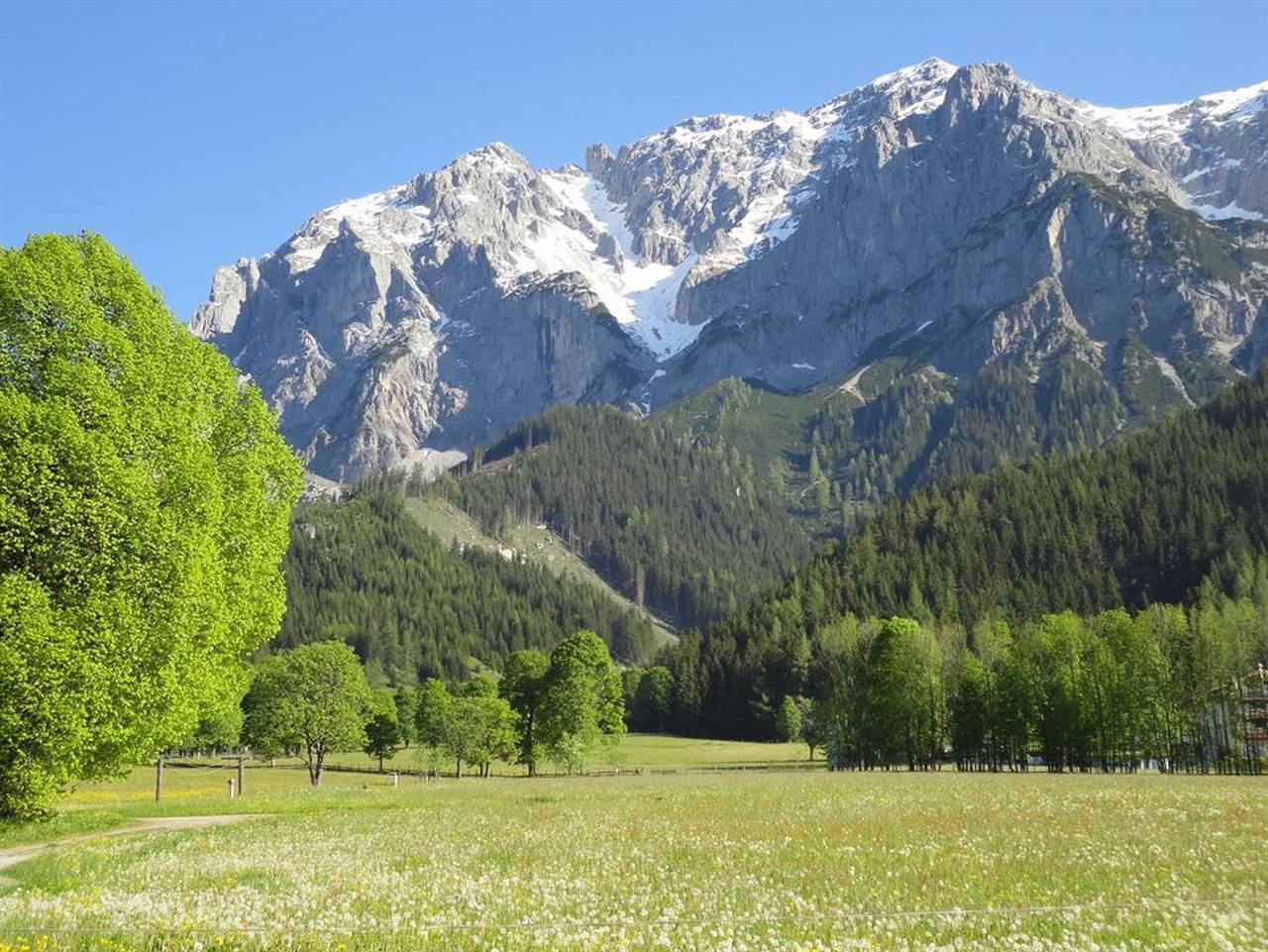 Ganze Ferienwohnung, Unerzhuberhof - App. Ahorn /1 Schlafraum/Dusche, Wc in Ramsau am Dachstein, Schladming-Dachstein