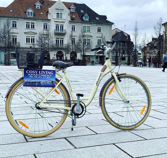 Gîte pour 4 personnes à Huningue - 4