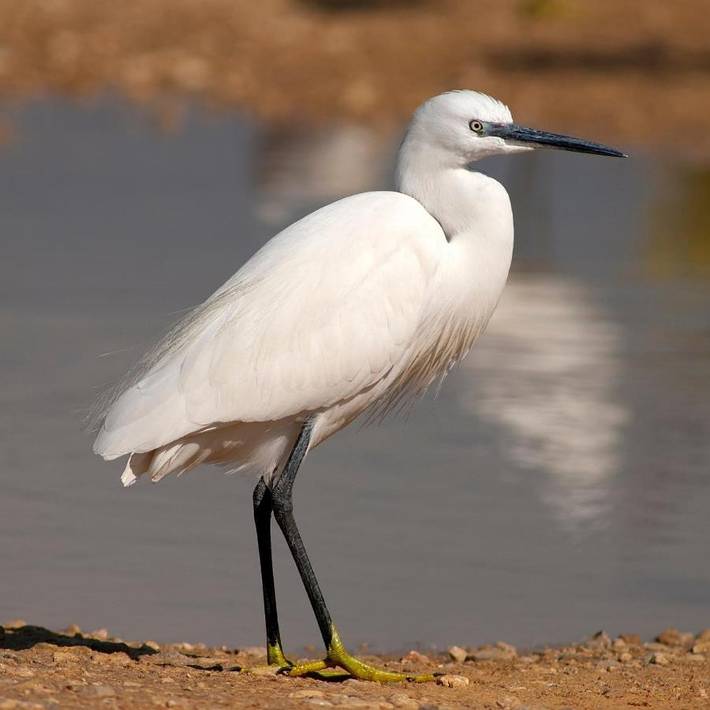 Bateau pour 4 personnes, avec vue et terrasse, adapté aux familles dans le Gard - 2