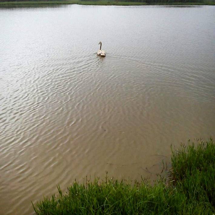 Maison de campagne pour 5 personnes, avec vue sur le lac ainsi que jardin et vue, animaux acceptés dans Province de Modène - 4