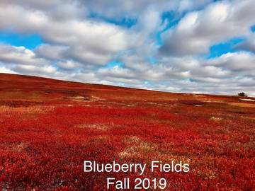 Cabin for 6 Guests in Maine, USA, Picture 3