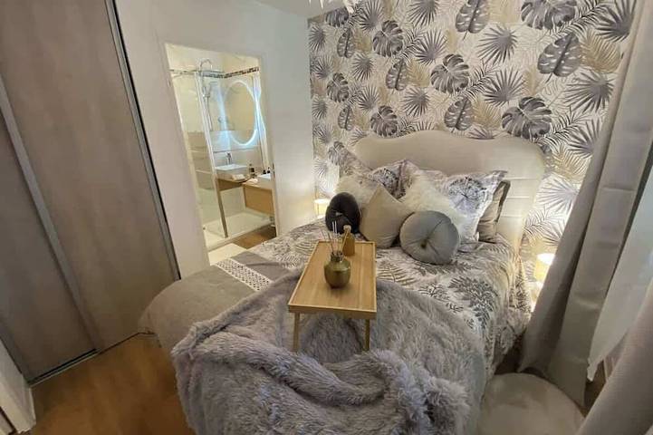 Gîte pour 3 personnes, avec piscine et jardin, animaux acceptés à Blagnac - 3