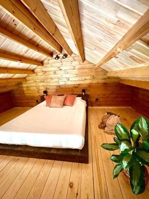 Mountain Eco Shelter 8 in Monte (Madeira), Madeira