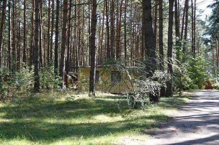 Blockhütte für 3 Personen, mit Terrasse und Garten am Fleesensee - 4