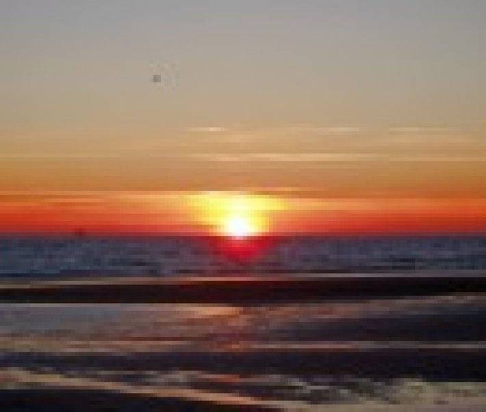 Ferienwohnung für 4 Personen, mit Garten auf Föhr - 3