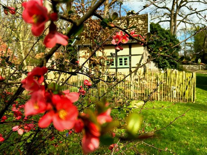 Ferienhaus für 3 Personen, mit Terrasse und Garten sowie Ausblick und Sauna, mit Haustier - 1