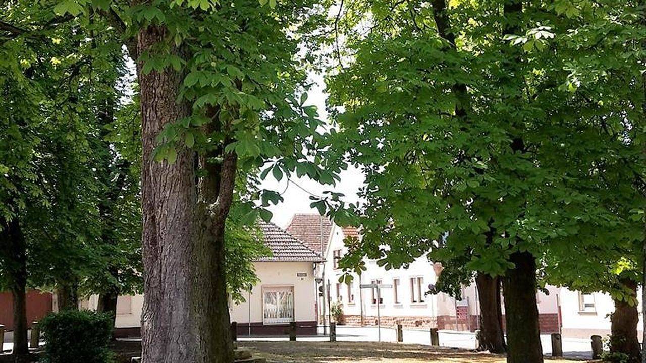 Geheel vakantieappartement, Vakantieappartement voor 4 personen in Knittelsheim, Rijndal