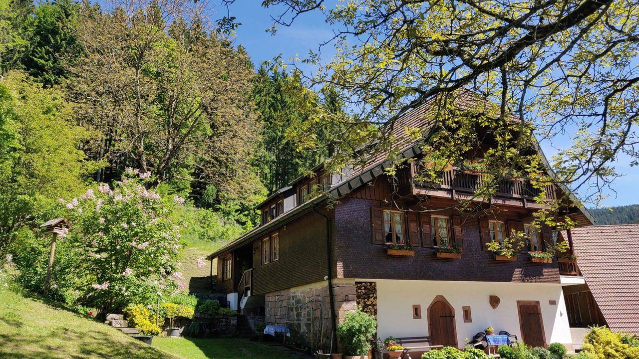 Ganze Ferienwohnung, Ferienwohnung für 4 Personen (50 m²) in Bad Rippoldsau-Schapbach in Bad Rippoldsau-Schapbach, Mittlerer Schwarzwald