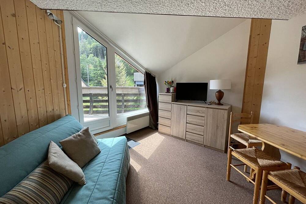 Entire apartment, Studio with balcony in the resort center, close to slopes and ice rink in Le Lioran, Laveissière