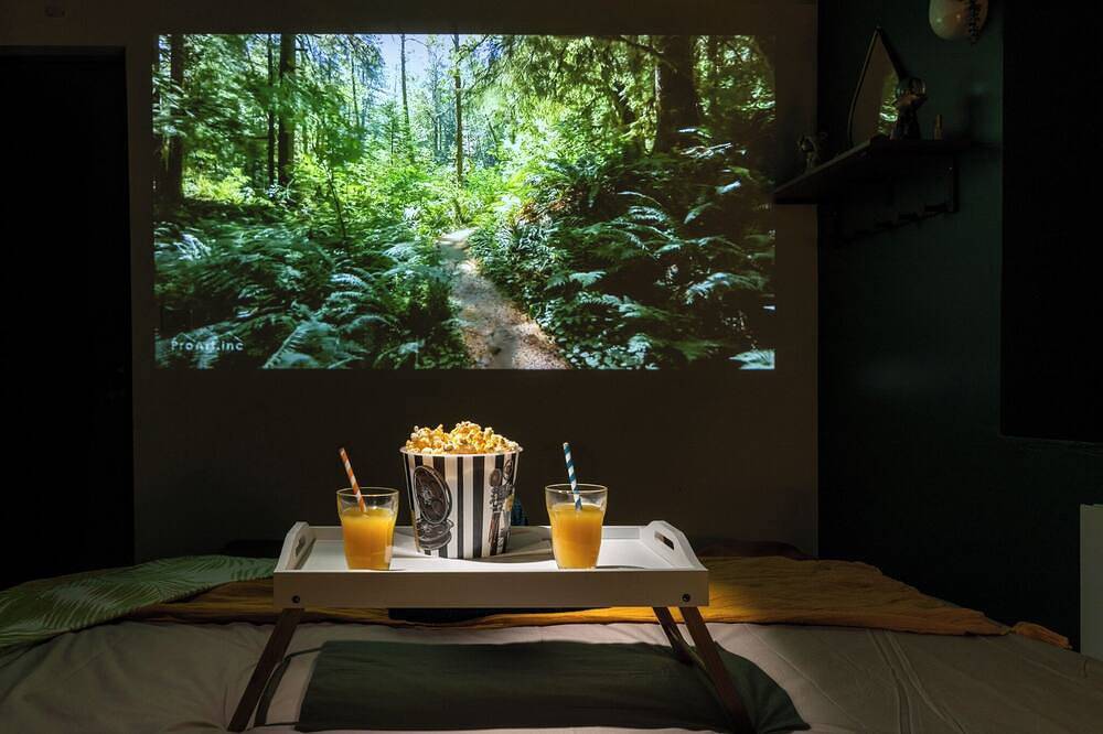 Entire apartment, Cap Jungle*Cinéma Immersif with video projector in Limoux, Limoux region