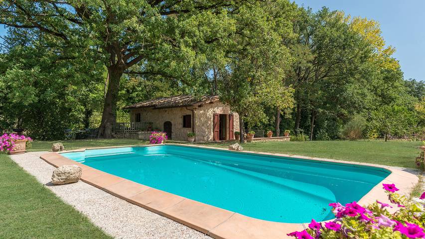Villa for 3 personer, med Terrasse og Hage i Cetona
