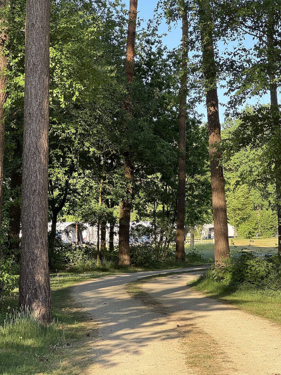 Thuysgrond — Kampeerplaats in Bergeijk, Noord-Brabant
