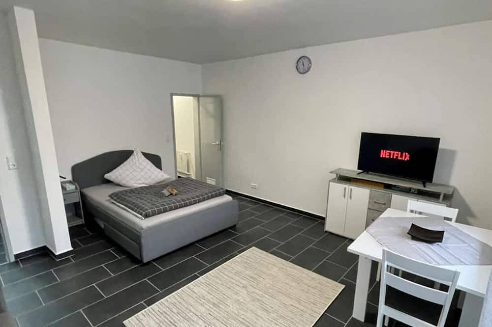 Entire apartment, Apartment at the E.C.E.-Center in Karlsruhe, Rhine Plain