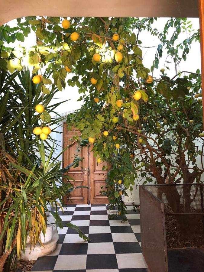 Maison d’hôte pour 3 personnes, avec jardin et piscine à Pertuis - 4