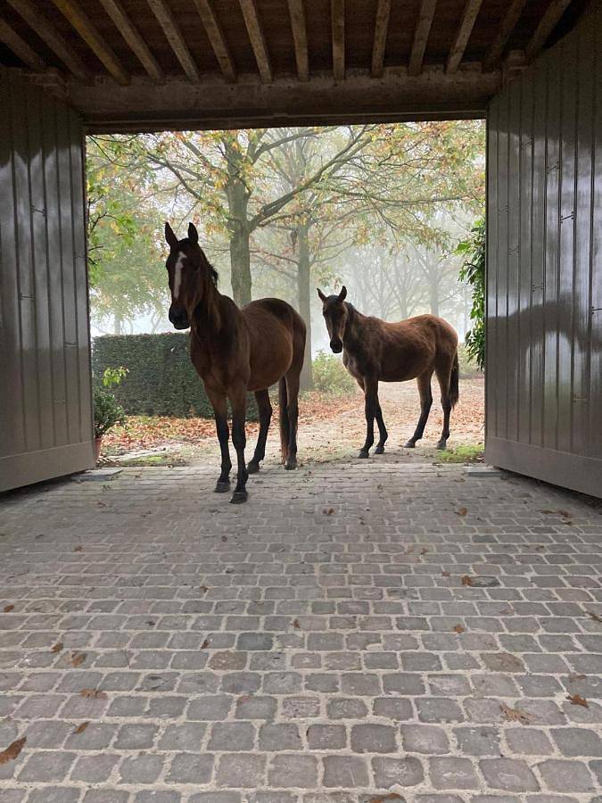 Location de vacances pour 2 personnes, avec vue et jardin à Wortegem-Petegem