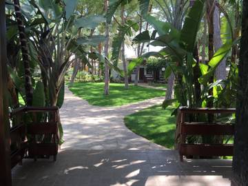 Bungalow para 8 Personas en La Eliana, Provincia de Valencia, Foto 2