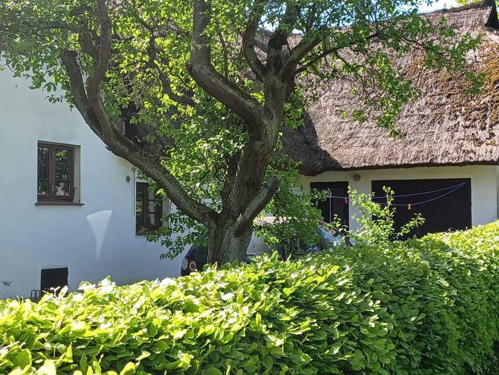 Ferienwohnung für 4 Personen, mit Garten in Wustrow