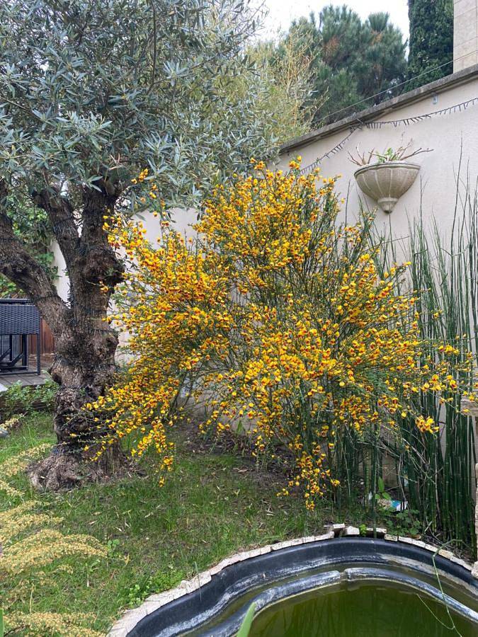 Gîte pour 4 personnes à Bègles - 3