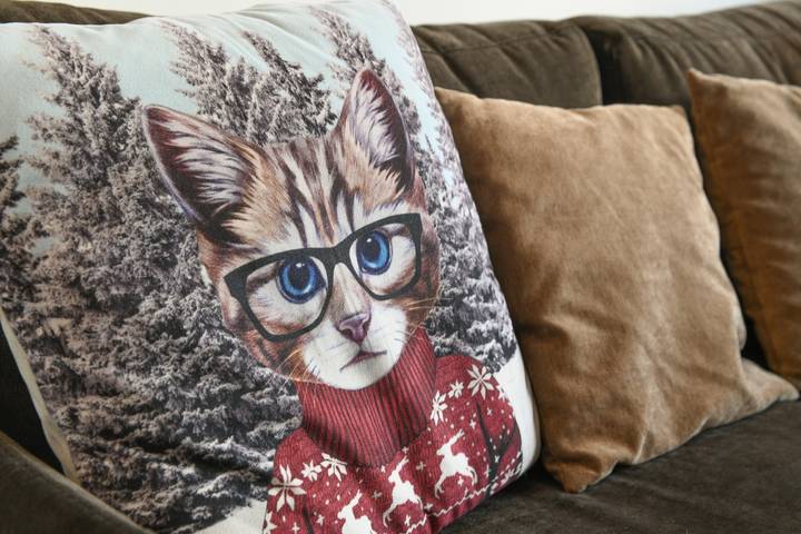 Gîte pour 4 personnes, animaux acceptés à Saint-Pierre-d'Albigny - 4