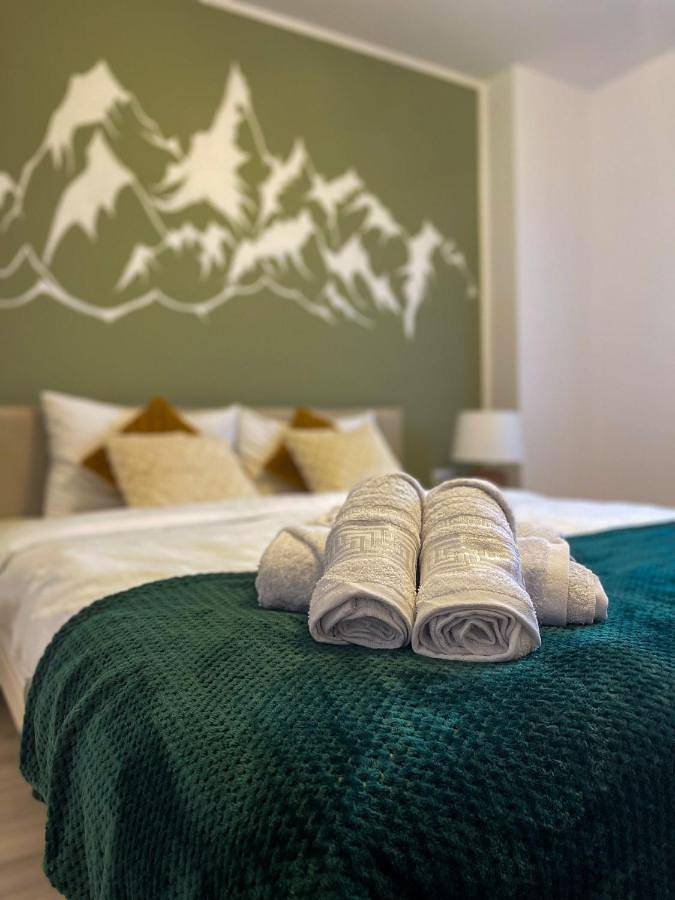 Gîte pour 4 personnes, avec terrasse et vue, animaux acceptés dans Câmpina - 2