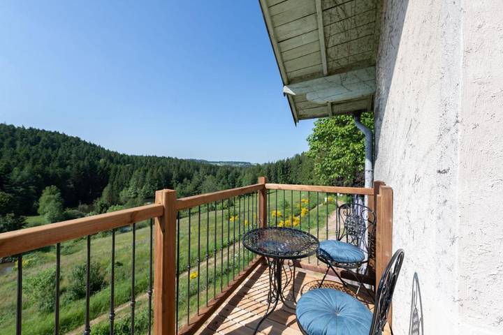 Hôtel pour 2 personnes, avec terrasse et jardin, animaux acceptés à Girmont-Val-d'Ajol - 2