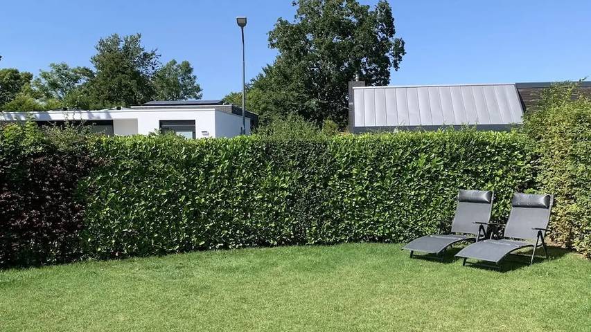 Bungalow für 4 Personen, mit Terrasse und Garten in Zoutelande - 3