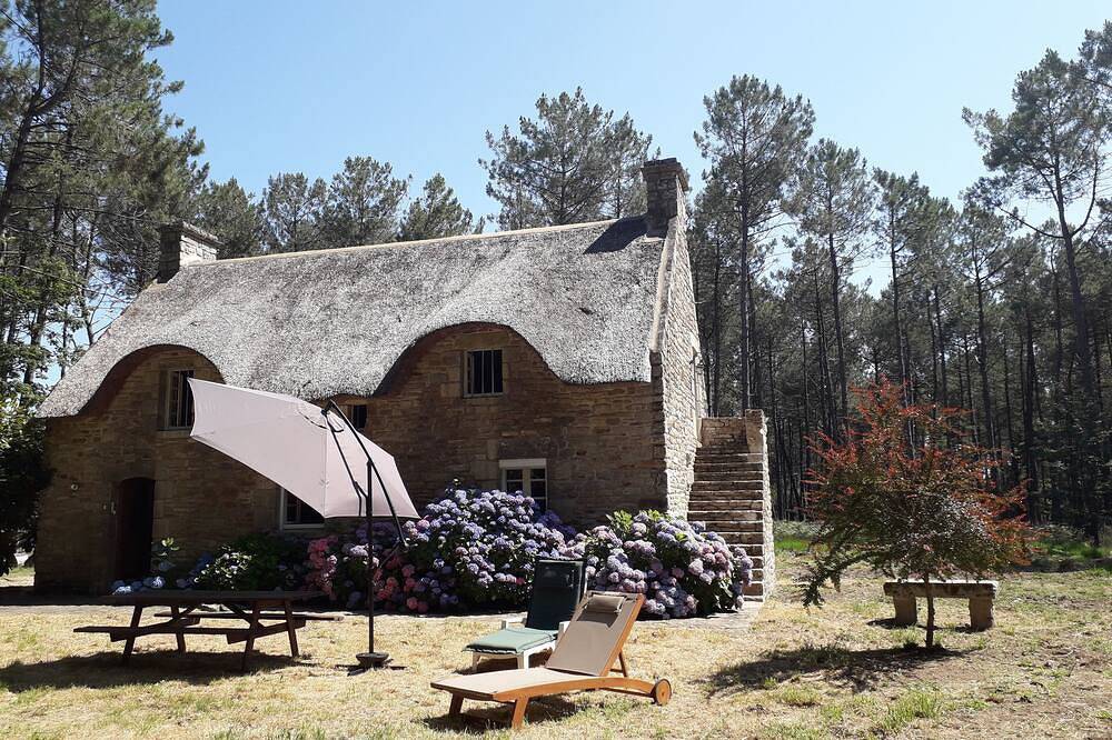 Seasonal rental of a Breton cottage in the heart of the forest in Theix, Côte des Mégalithes