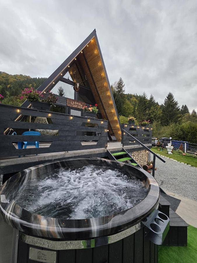Gîte pour 8 personnes, avec jacuzzi ainsi que terrasse et jardin à Alba (Romania) - 3