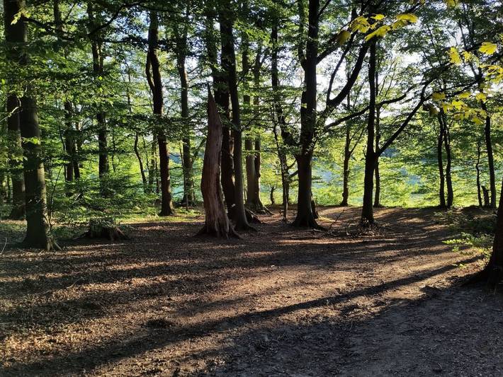 Ferienwohnung für 4 Personen, mit Ausblick, kinderfreundlich in Worpswede - 4