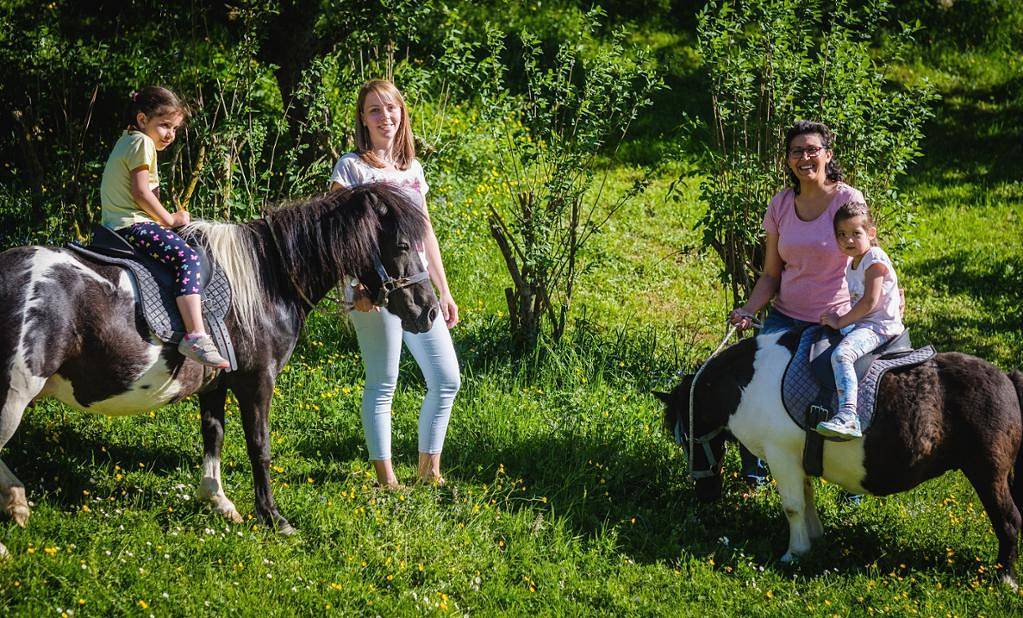 Familienhotel & Wildpark Lodges Hochriess - Doppelzimmer in Purgstall an der Erlauf, Mostviertel Region