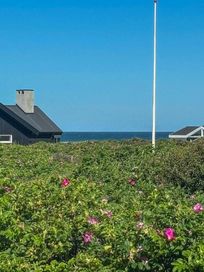 Renoviertes Haus aus den 70er Jahren mit Meerblick bei Lønstrup in lønstrup, Hjørring und Umgebung