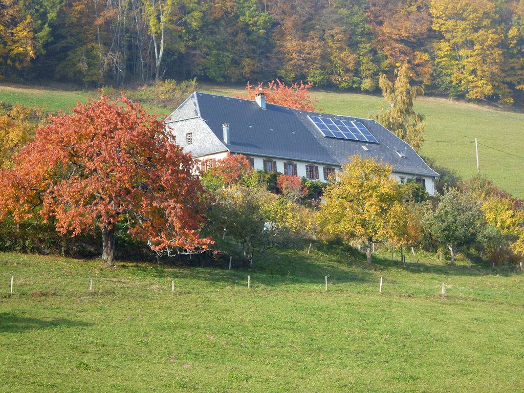 Entre Vignoble et Montagne - Entre montagne et vignoble in Lapoutroie, Parc naturel régional des Ballons des Vosges