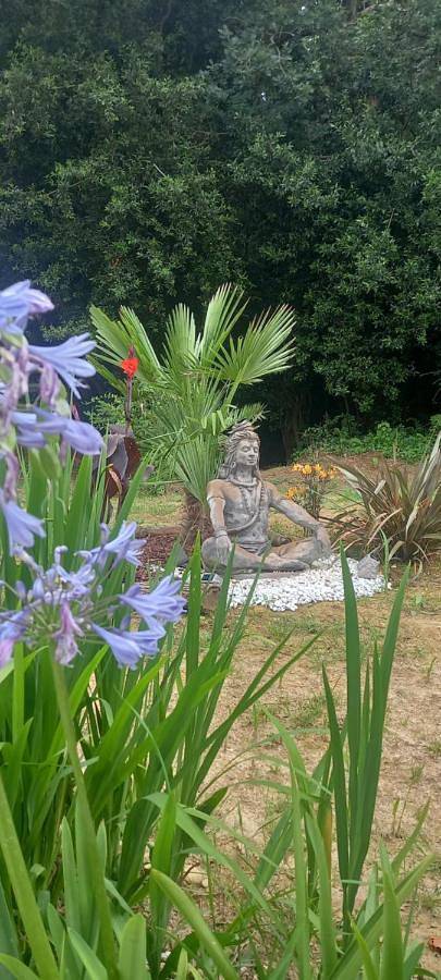Le chant des oiseaux in Cambo-les-Bains, Région de Bayonne